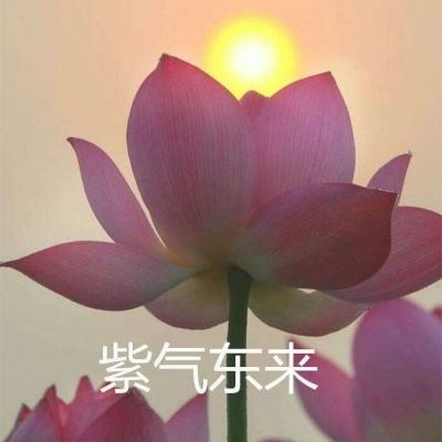 360超神战记手机版下载